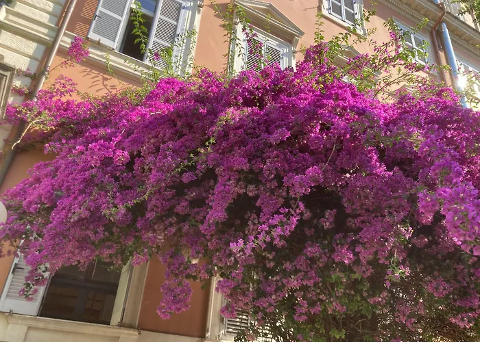 Hotel Casa Valdese Rome